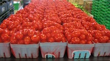Bishop tomatoes