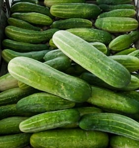 Clemson cucumbers